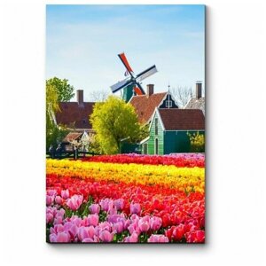Модульная картина Тюльпановое поле, Амстердам 20x30