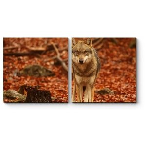 Модульная картина Волк в осеннем лесу 120x60