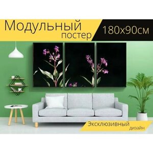 Модульный постер "Бальзам, бальзамическое растение, железистый бальзам" 180 x 90 см. для интерьера