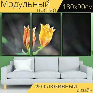 Модульный постер "Цветок, лили, цвести" 180 x 90 см. для интерьера