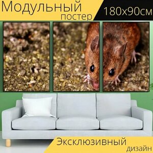 Модульный постер "Деревянная мышь, грызун, милый" 180 x 90 см. для интерьера