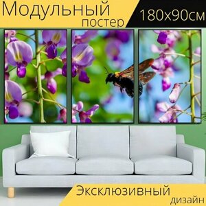 Модульный постер "Китайские глицинии, пчелка, насекомое" 180 x 90 см. для интерьера