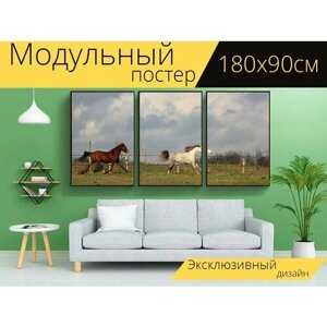 Модульный постер "Лошади, лошадь, животные" 180 x 90 см. для интерьера