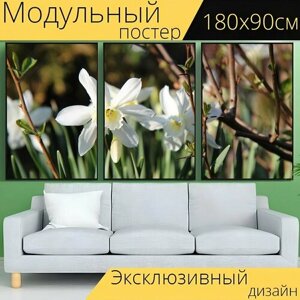Модульный постер "Нарцисс, цветы, растения" 180 x 90 см. для интерьера