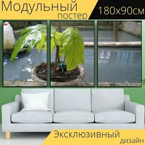 Модульный постер "Растения, зеленый, цветы" 180 x 90 см. для интерьера