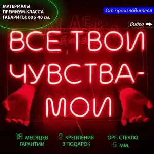 Неоновый светильник / Неоновая светодиодная вывеска на стену / Настенная неоновая лампа, надпись "Все твои чувства - мои", для дома и бизнеса, 60 х 40 см.