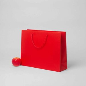 Пакет подарочный 41x31x12, красный, меловка (1шт)