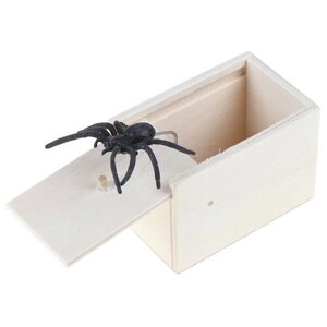 Паук в коробке
