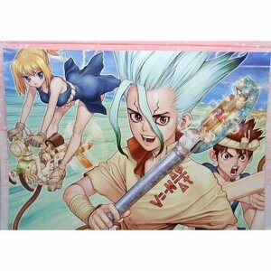 Плакат, постер на бумаге Доктор Стоун, Dr. Stone. Размер 30 х 42 см