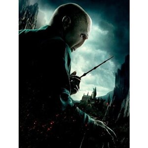 Плакат, постер на холсте Гарри Поттер и Дары Смерти: Часть I (Harry Potter and the Deathly Hallows Part 1), Дэвид Йэтс. Размер 42 х 60 см