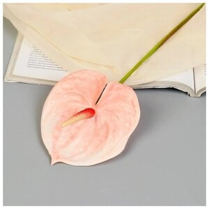 Poetry in flowers Цветы искусственные "Антуриум" 60 см, светло-розовый