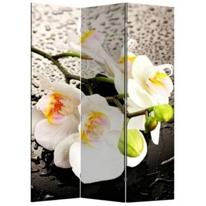Ширма 1111-3 "Белая орхидея и капли"3 панели)