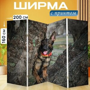 Ширма "Лес, природа, деревья" раскладная перегородка для зонирования с принтом на холсте