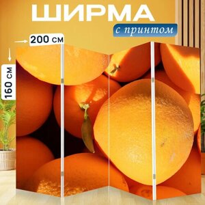 Ширма перегородка с принтом "Апельсины, апельсиновое дерево, природные" на холсте - 200x160 см. для зонирования, раскладная