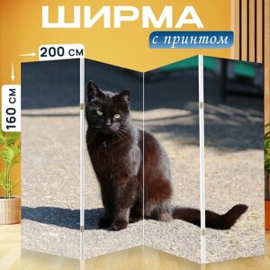 Ширма перегородка с принтом "Черный кот, тень, животное" на холсте - 200x160 см. для зонирования, раскладная