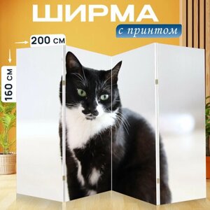 Ширма перегородка с принтом "Кошачьи глаза, кошка, кошачий" на холсте - 200x160 см. для зонирования, раскладная