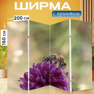 Ширма перегородка с принтом "Поле, травы, корень" на холсте - 200x160 см. для зонирования, раскладная