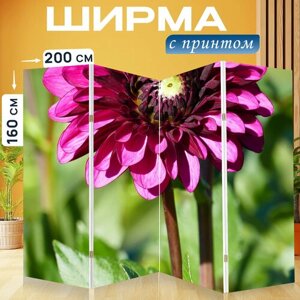 Ширма перегородка с принтом "Природа, сад, цветок" на холсте - 200x160 см. для зонирования, раскладная