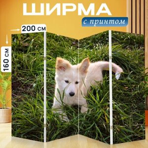 Ширма перегородка с принтом "Собака, щенок, трава" на холсте - 200x160 см. для зонирования, раскладная