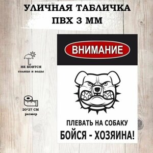 Табличка уличная "Осторожно злая собака" для интерьера, информационная.