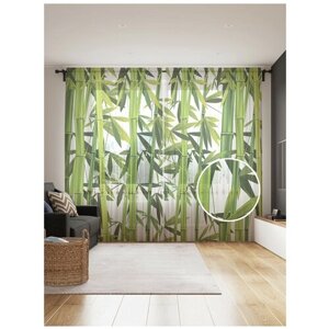 Тюль для кухни и спальни JoyArty "Бамбуковые листья", 2 полотна со шторной лентой шириной по 145 см, высота 265 см.