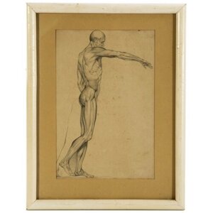 Анатомический рисунок фигуры человека (с оригинала В. В. Пукирева