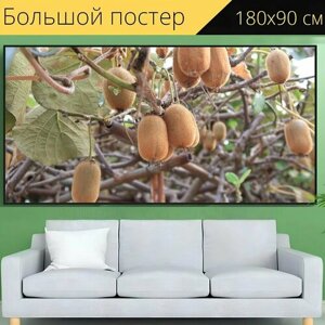Большой постер "Киви, фрукты, завод" 180 x 90 см. для интерьера