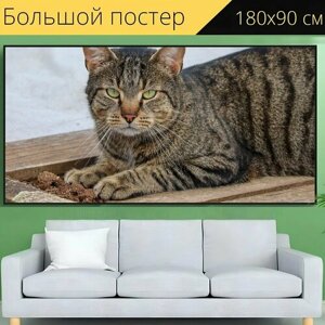 Большой постер "Кот, домашняя кошка, домашнее животное" 180 x 90 см. для интерьера