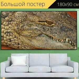 Большой постер "Крокодил, рептилия, животное" 180 x 90 см. для интерьера