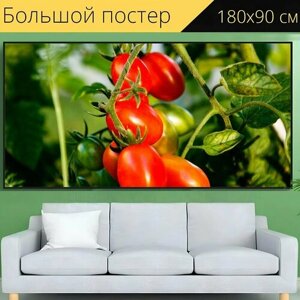 Большой постер "Помидоры, овощи, сад" 180 x 90 см. для интерьера