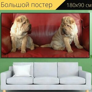 Большой постер "Сборка, собака, щенок" 180 x 90 см. для интерьера