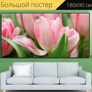 Большой постер "Тюльпаны, тюльпан, весна" 180 x 90 см. для интерьера