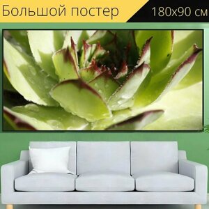 Большой постер "Жирная курица, завод, природа" 180 x 90 см. для интерьера