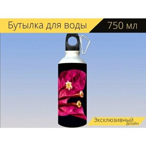 Бутылка фляга для воды "Бугенвиллия, цвести, цветок" 750 мл. с карабином и принтом