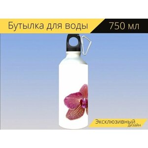 Бутылка фляга для воды "Фаленопсис, орхидея, орхидея фаленопсис" 750 мл. с карабином и принтом