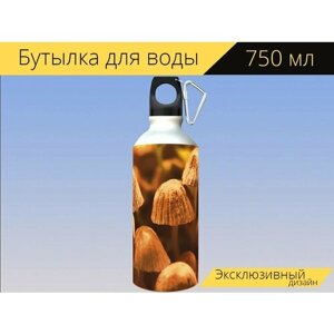 Бутылка фляга для воды "Грибы, лесные грибы, спора" 750 мл. с карабином и принтом