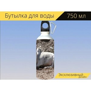 Бутылка фляга для воды "Корова, белая корова, животное" 750 мл. с карабином и принтом