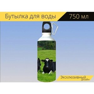 Бутылка фляга для воды "Коровы, чернить, корова" 750 мл. с карабином и принтом
