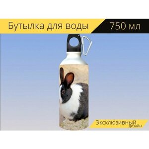 Бутылка фляга для воды "Кролики, домашнее животное, маленькое животное" 750 мл. с карабином и принтом