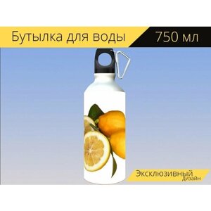 Бутылка фляга для воды "Лимоны, цитрусовые, фрукты" 750 мл. с карабином и принтом
