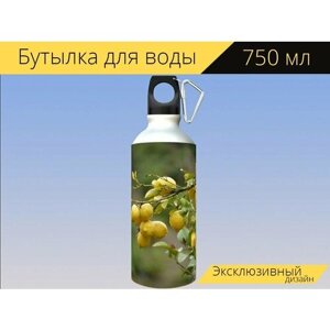 Бутылка фляга для воды "Лимоны, фрукты, желтый" 750 мл. с карабином и принтом
