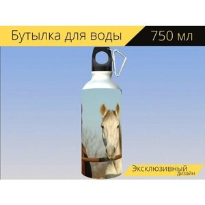 Бутылка фляга для воды "Лошадь, лошади, школа верховой езды" 750 мл. с карабином и принтом