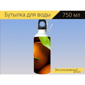 Бутылка фляга для воды "Magnifyer, оранжевый, гастрономия" 750 мл. с карабином и принтом