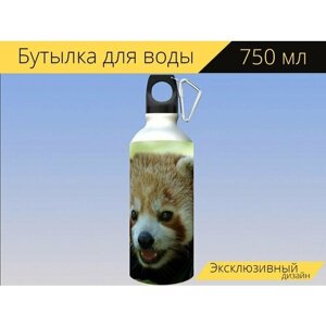 Бутылка фляга для воды "Маленькая панда, панда, красная панда" 750 мл. с карабином и принтом