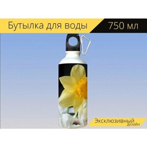Бутылка фляга для воды "Нарцисс, цветок, цвести" 750 мл. с карабином и принтом