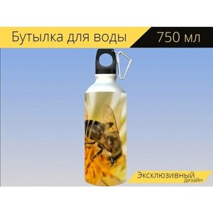 Бутылка фляга для воды "Пчела, цветочная пыльца, насекомое" 750 мл. с карабином и принтом