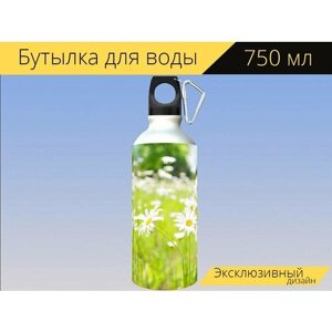 Бутылка фляга для воды "Ромашки, поле, природа" 750 мл. с карабином и принтом