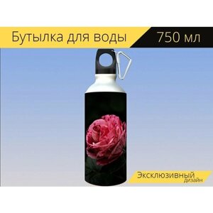 Бутылка фляга для воды "Розы, сад, цветок" 750 мл. с карабином и принтом