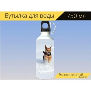 Бутылка фляга для воды "Собака, снег, запустить" 750 мл. с карабином и принтом