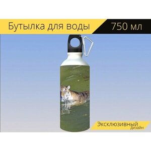 Бутылка фляга для воды "Тигр, большой кот, вода" 750 мл. с карабином и принтом